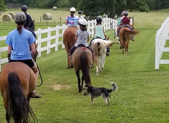 Mt. Juliet Day School