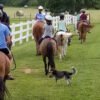 The Benefits of Equestrian for Preschool Children